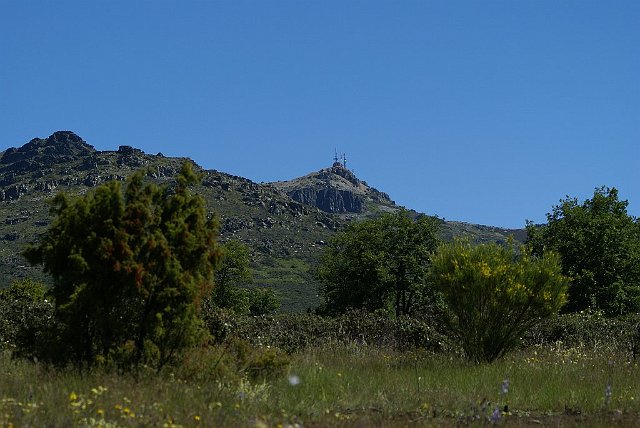 Paisaje003.jpg - Alto ReyJunio 2007, Bustares