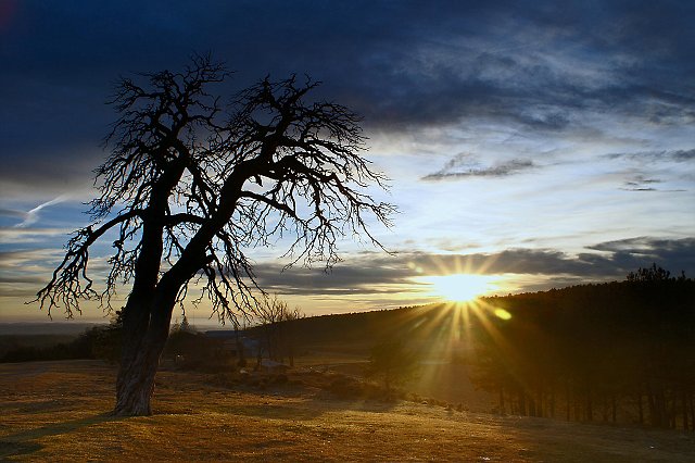 Paisaje010.jpg