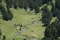 Paisaje006